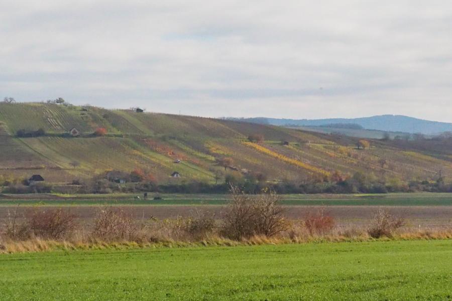 Přísloví pro každý den