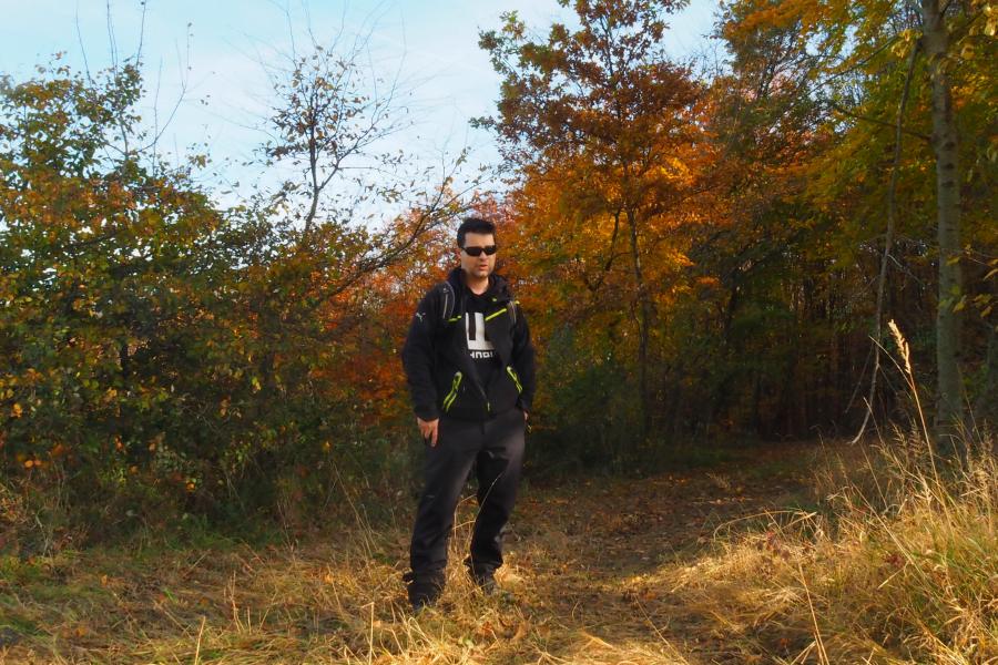 Přísloví pro každý den