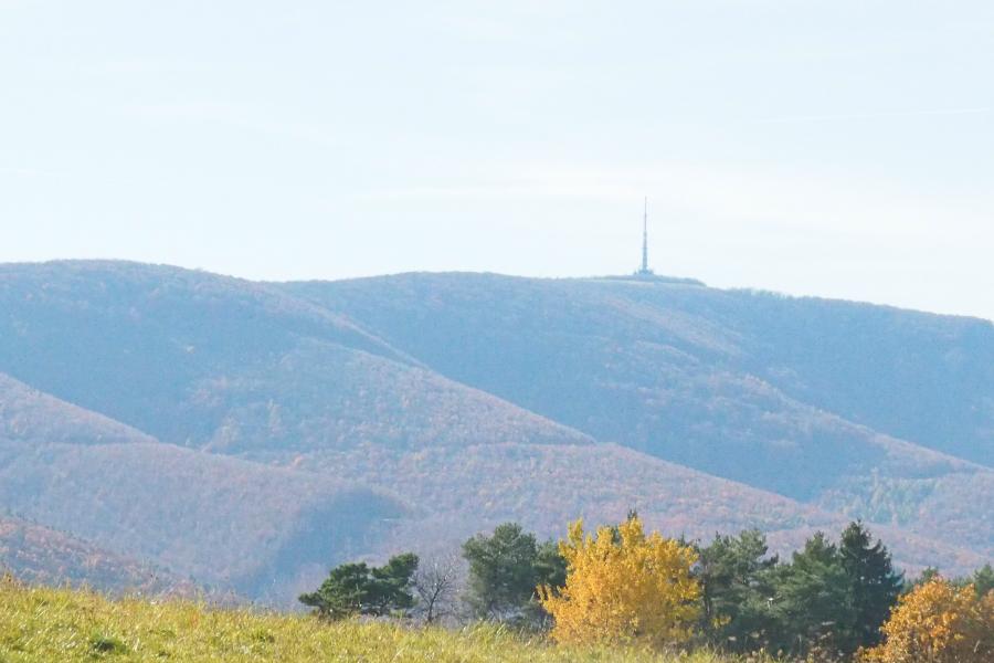 Bělokarpatské bloudění