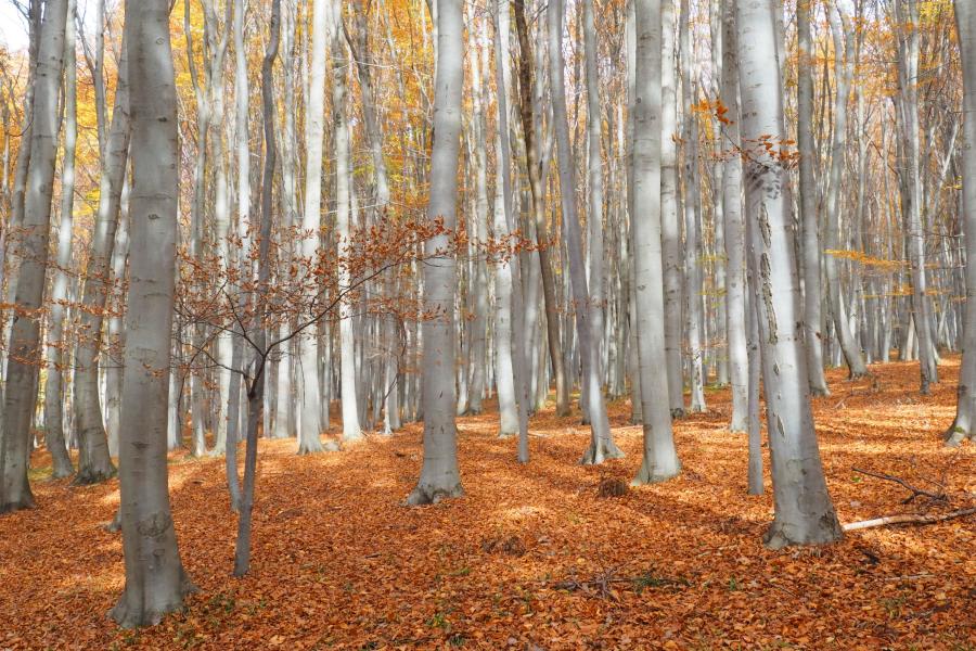 Přísloví pro každý den