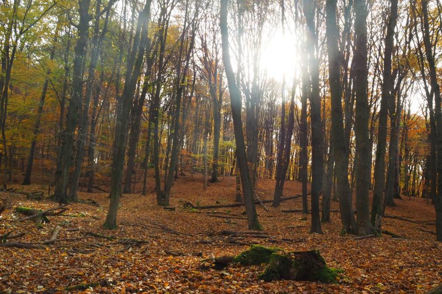 Přísloví pro každý den