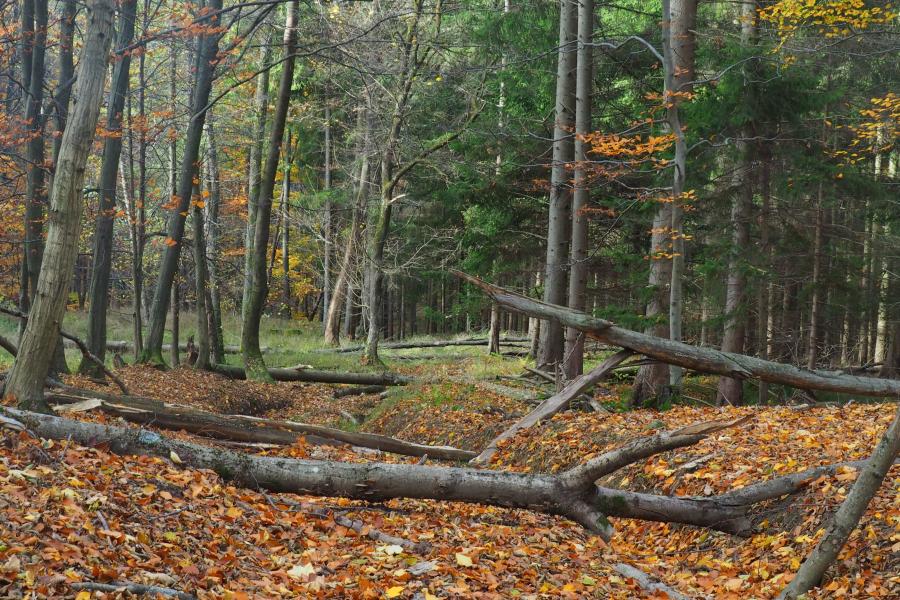 Bělokarpatské bloudění