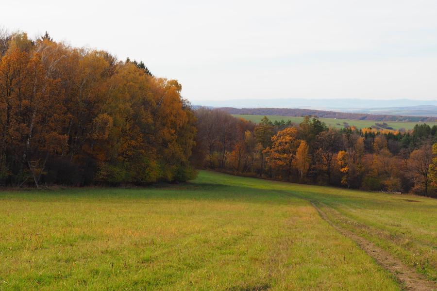 Bělokarpatské bloudění