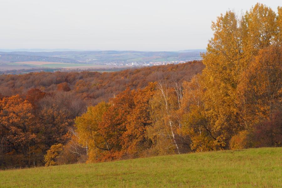 Bělokarpatské bloudění