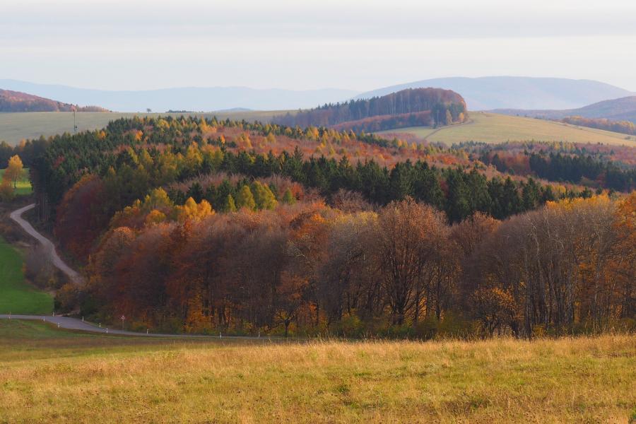 Bělokarpatské bloudění