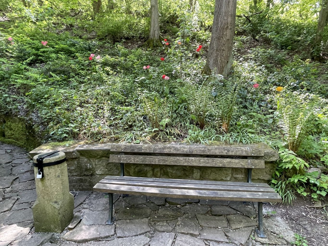 Mariánská studánka