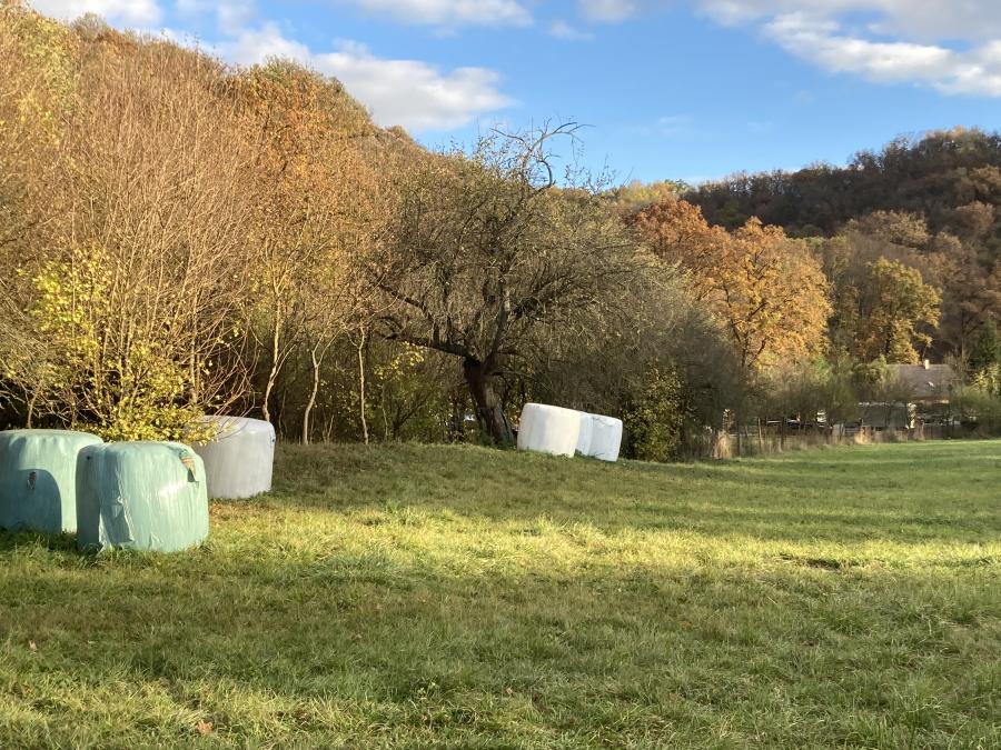 Podzim v Moravském Krumlově, část I.