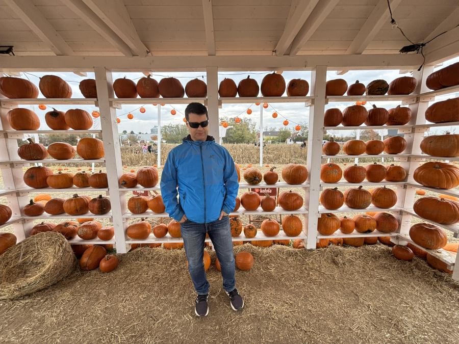 Přísloví pro každý den